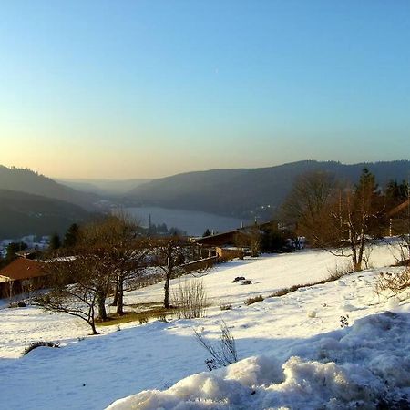 Gerardmer Centre - Studio Au Pied Du Lac Grande Terrasse エクステリア 写真