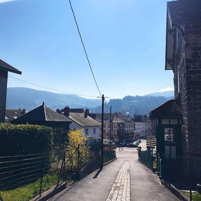 Gerardmer Centre - Studio Au Pied Du Lac Grande Terrasse エクステリア 写真
