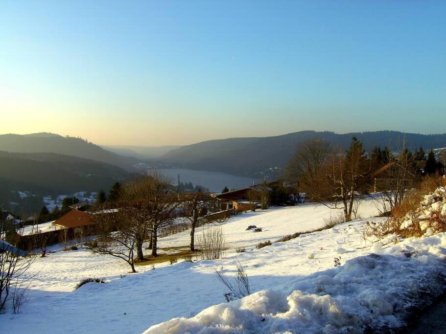 Gerardmer Centre - Studio Au Pied Du Lac Grande Terrasse エクステリア 写真