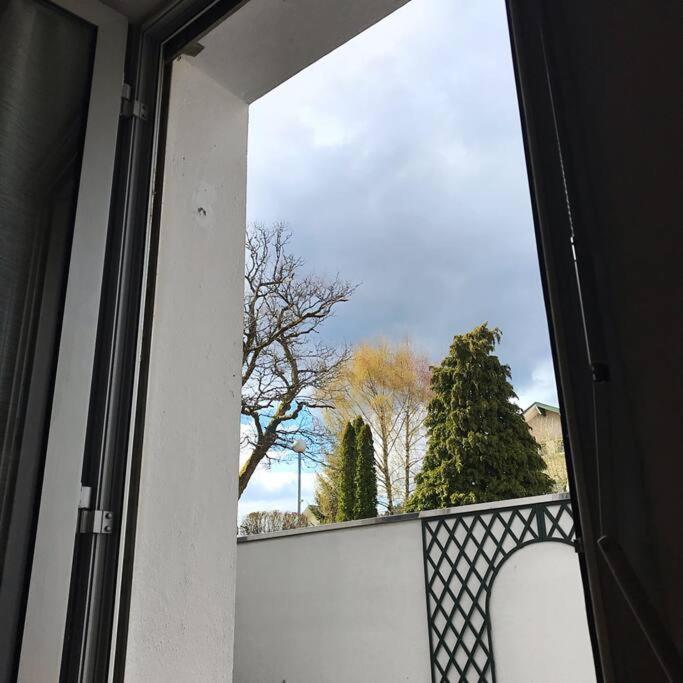 Gerardmer Centre - Studio Au Pied Du Lac Grande Terrasse エクステリア 写真